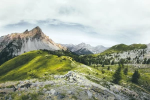 Potrzeba pomocy prawnej