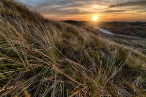 Zwykły Chłopak Chciał zareklamować biznes. Przypadkowo Odkrył 1 Dziwny Sposób, Przez Który Sprzedawcy Go Nienawidzą.